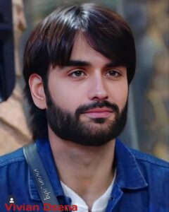 Vivian Dsena Biography
