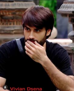 Vivian Dsena Biography